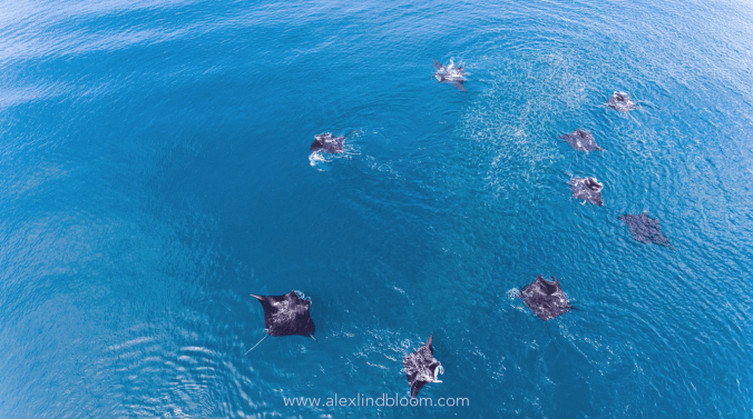 screen-shot-2017-02-27-at-5-24-12-pm