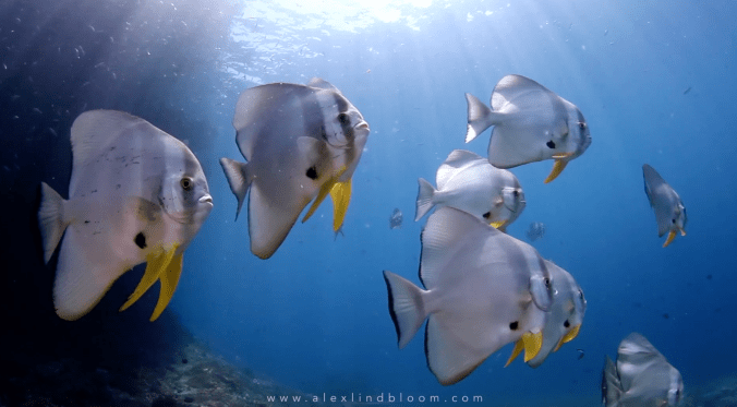 screen-shot-2017-02-27-at-9-21-09-pm