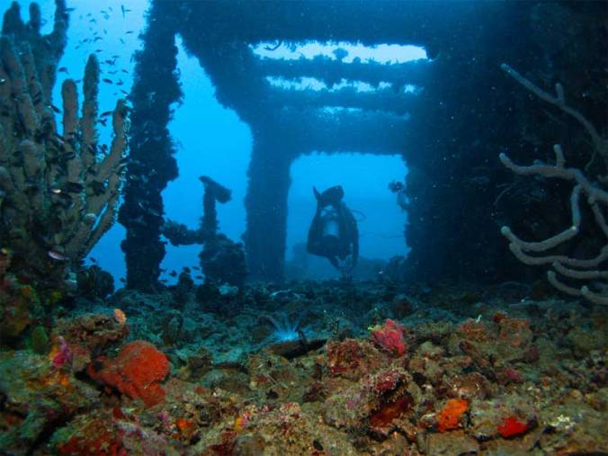 diving-in-the-philippines-coron-wreck.jpg