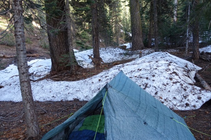 15590500-0729-4c44-8a9e-7e7fd35c716c