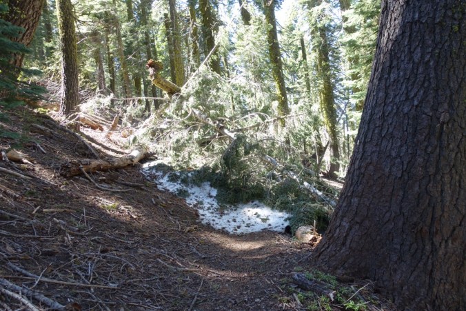 60b6ab1a-b6b8-4272-b858-ba6e0330b2c2