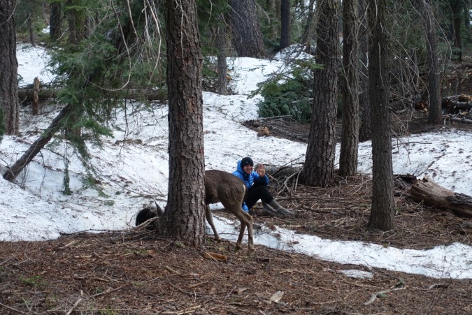 a6a69184-cbc1-4dfe-8fa4-01d9d7d5d03d