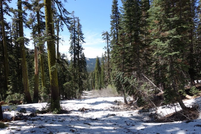 b8cce1e5-dfb7-447c-9a11-f2f56a27f337