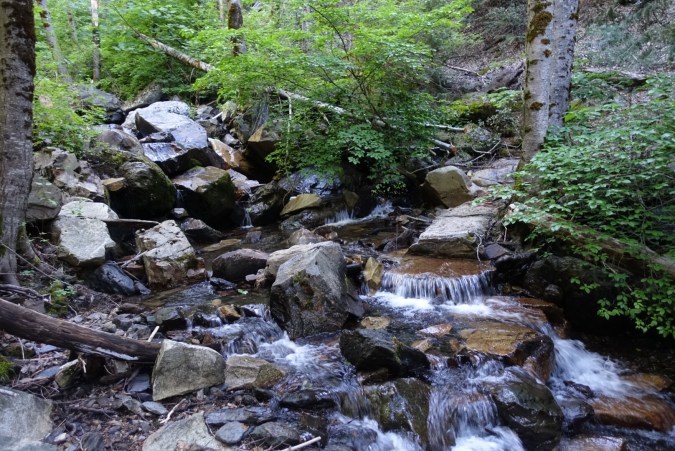 e7707806-fce3-4d53-b7d5-f86dccd4bc5e